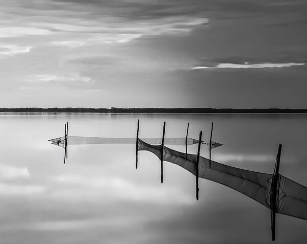 Foto: Carin van Eck