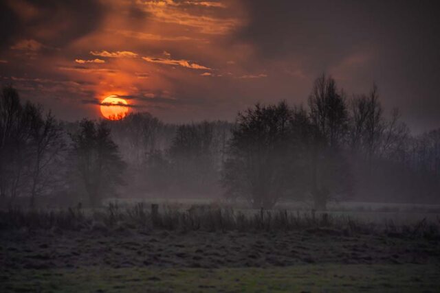 Foto: Tom Uleman